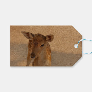 Baby Deer Geschenkanhänger