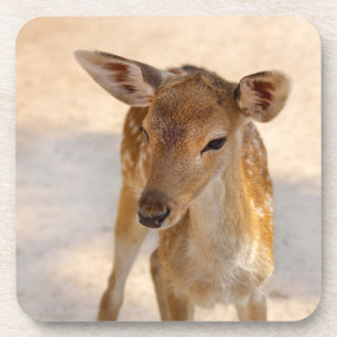 Baby Deer Getränkeuntersetzer