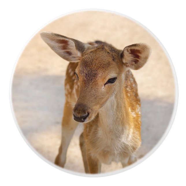 Baby Deer Keramikknauf (Vorderseite)