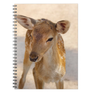 Baby Deer Notizblock