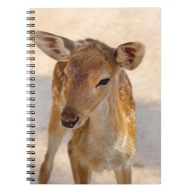 Baby Deer Notizblock (Vorderseite)
