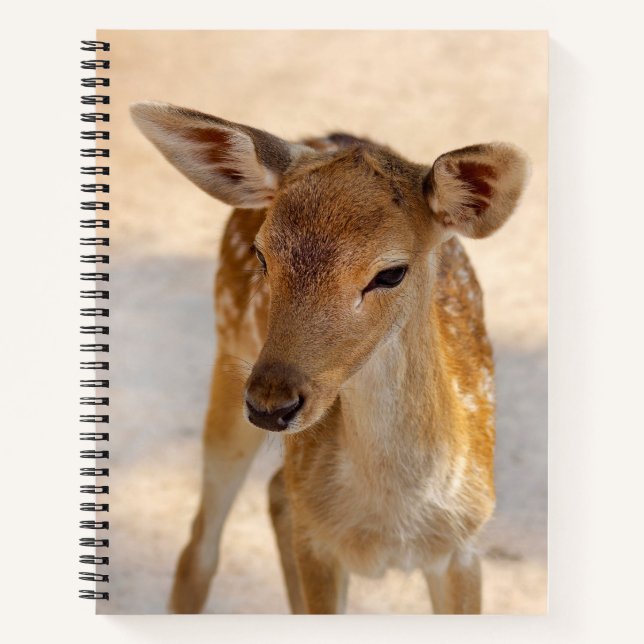 Baby Deer Notizbuch (Vorderseite)