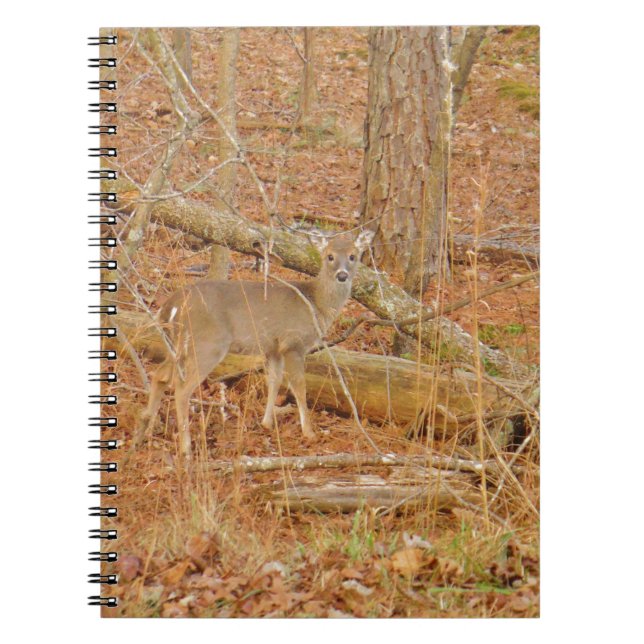 Baby Deer's Erster Winter Notizblock (Vorderseite)