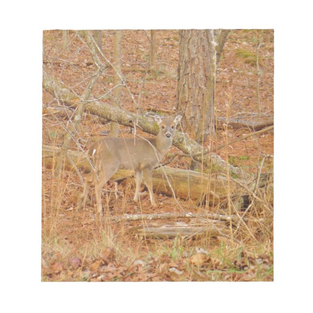 Baby Deer's Erster Winter Notizblock (Vorderseite)