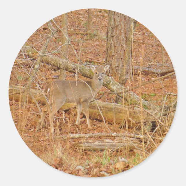 Baby Deer's Erster Winter Runder Aufkleber (Vorderseite)