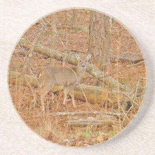 Baby Deer's Erster Winter Sandstein Untersetzer