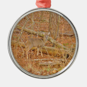 Baby Deer's Erster Winter Silbernes Ornament