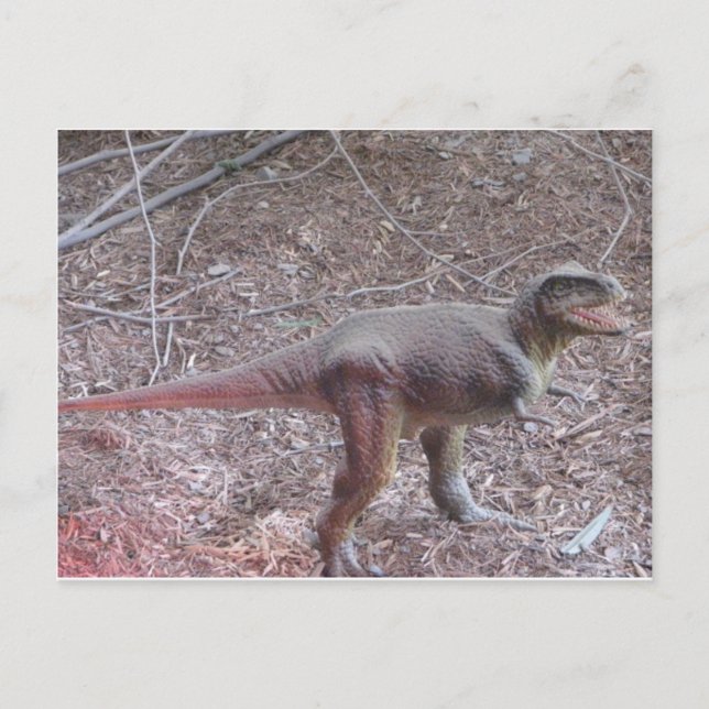 Baby-Dinosaurier Postkarte (Vorderseite)