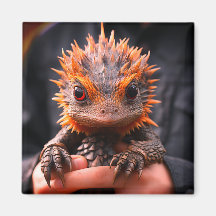 Baby Dragon