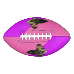 Baby Ducks on Pink Raspberry and Purple Sorbet Football