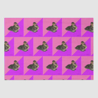 Baby Ducks on Pink Raspberry and Purple Sorbet Seidenpapier
