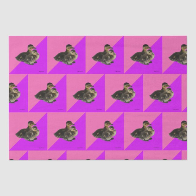 Baby Ducks on Pink Raspberry and Purple Sorbet Seidenpapier (Vorderseite)