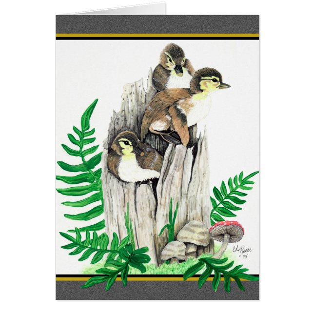 Baby duckt Karte (Vorne)
