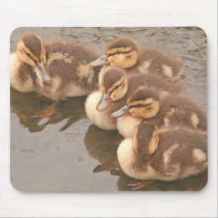 Baby duckt Vogel-wild lebende Tiere Mousepad