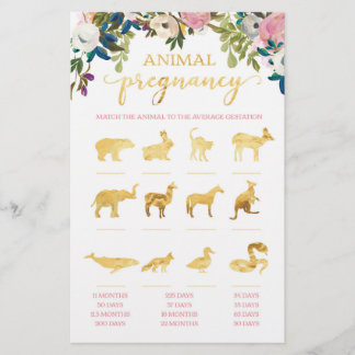 Baby-Dusche Baby Animal Schwangerschaft Game