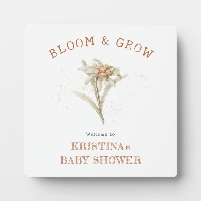 Baby-Dusche Blu und Grow Edelweiss - Empfang Fotoplatte (Vorderseite)