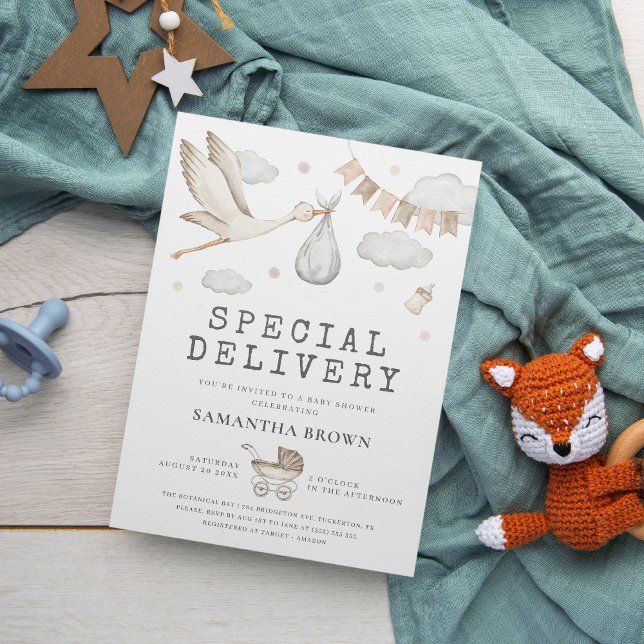 Baby-Dusche für Sonderlieferungen Einladung (Von Creator hochgeladen)