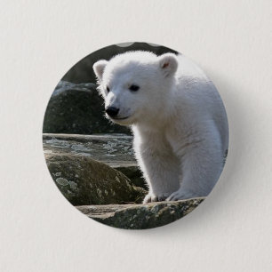 Baby-Eisbär-Knopf Button