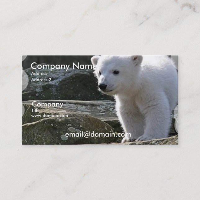 Baby-Eisbär-Visitenkarte Visitenkarte (Vorderseite)