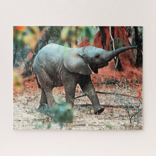 Baby-Elefant