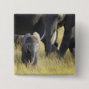 Baby-Elefant Button