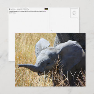 Baby-Elefant in Masai Mara, Kenia Reise-Postkarte Postkarte