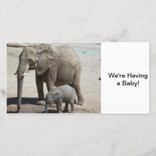 Baby-Elefant mit Mama Ankündigung