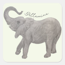 Baby-Elefant mit Text