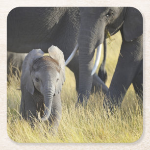 Baby-Elefant Rechteckiger Pappuntersetzer