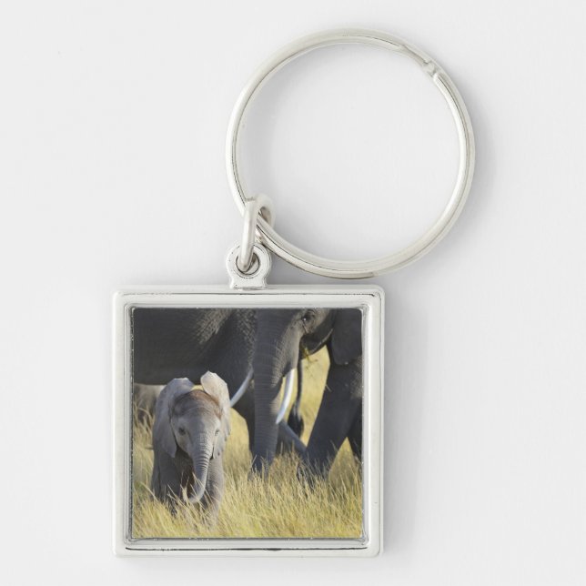 Baby-Elefant Schlüsselanhänger (Vorne)