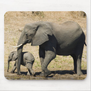 Baby-Elefant und Mutter Mousepad