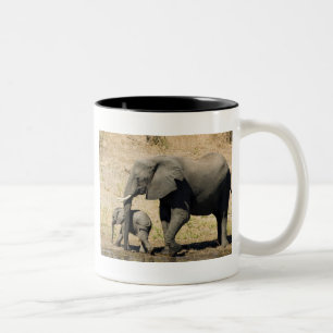 Baby-Elefant und Mutter Zweifarbige Tasse