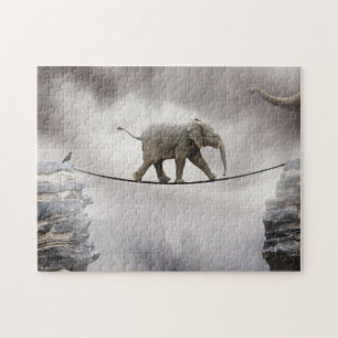 Baby-Elefant-Wege das Drahtseil