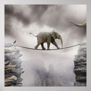 Baby-Elefant-Wege das Drahtseil Poster