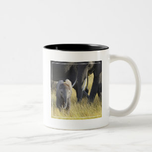 Baby-Elefant Zweifarbige Tasse
