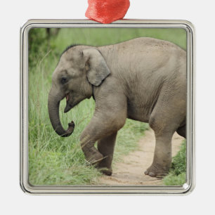Baby Elephant folgt der Mutter, Corbett Silbernes Ornament