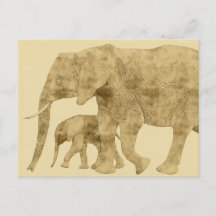 Baby Elephant mit Mutter