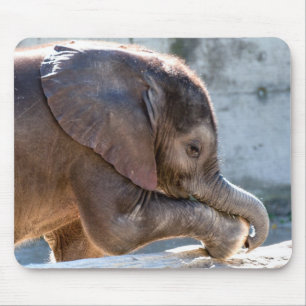 Baby Elephant Mousepad