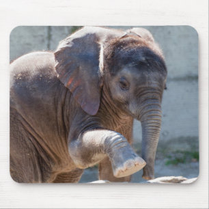 Baby Elephant Mousepad