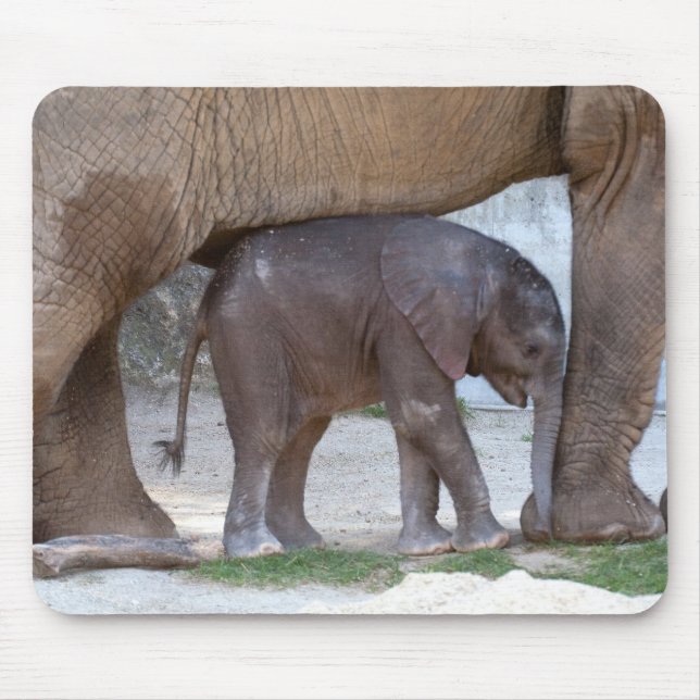 Baby Elephant Mousepad (Vorne)