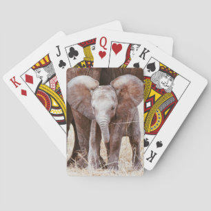 Baby Elephant Niedlicher afrikanischer Elefant mit Spielkarten