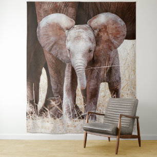 Baby Elephant Niedlicher afrikanischer Elefant mit Wandteppich