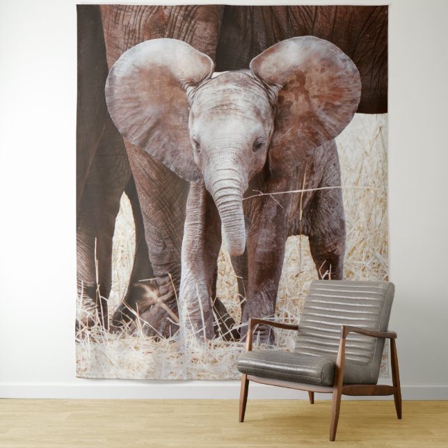 Baby Elephant Niedlicher afrikanischer Elefant mit Wandteppich (Beispiel)