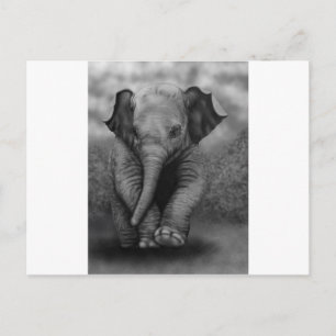 Baby Elephant Postkarte