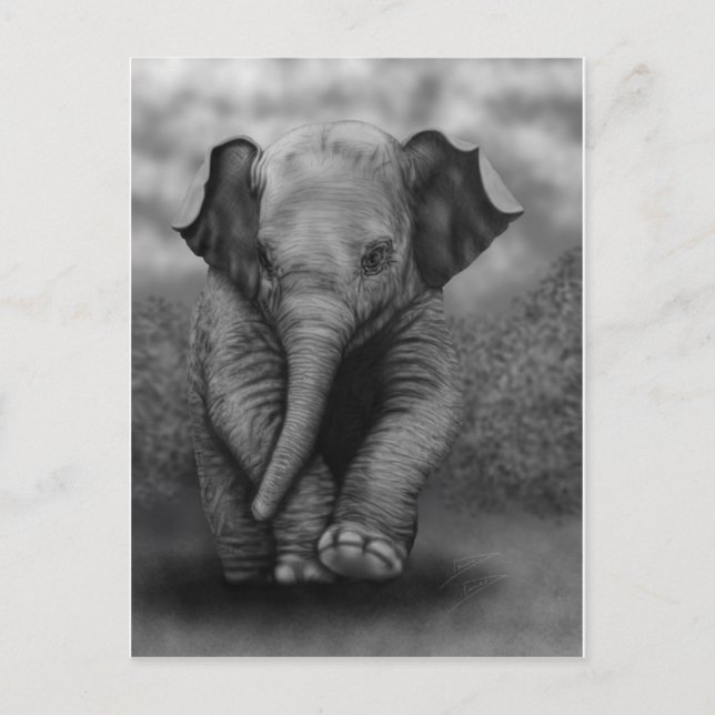 Baby Elephant Postkarte (Vorderseite)