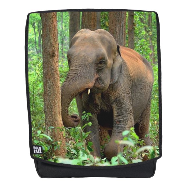 Baby Elephant Rucksack (Vorderseite)