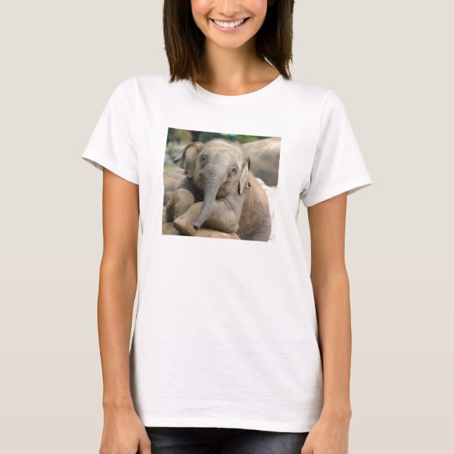 Baby elephant T-Shirt (Vorderseite)