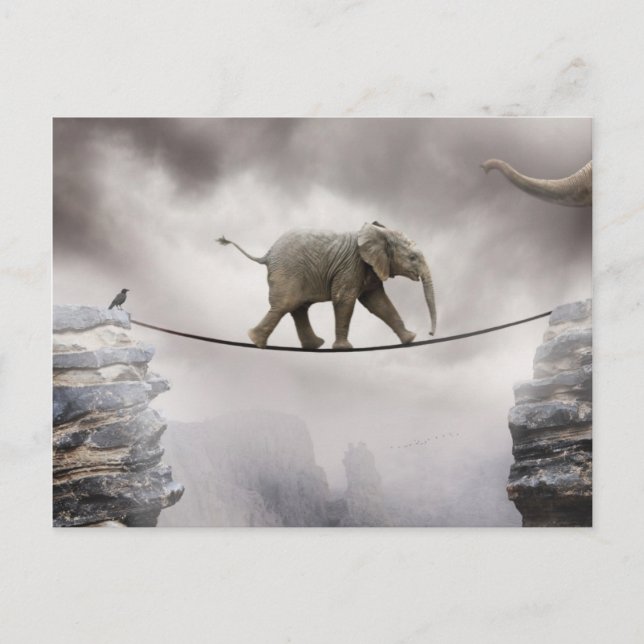 Baby Elephant wagt eine Gratwanderung Postkarte (Vorderseite)