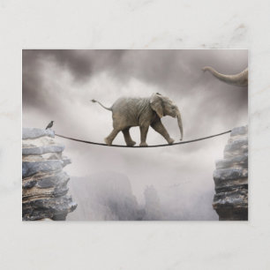 Baby Elephant wagt eine Gratwanderung Postkarte