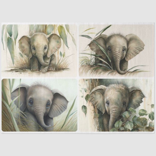 Baby Elephants Seidenpapier (Vorderseite)